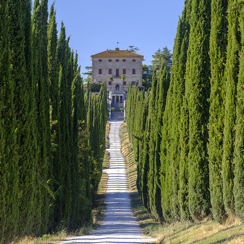 amelia-sviluppo-rurale