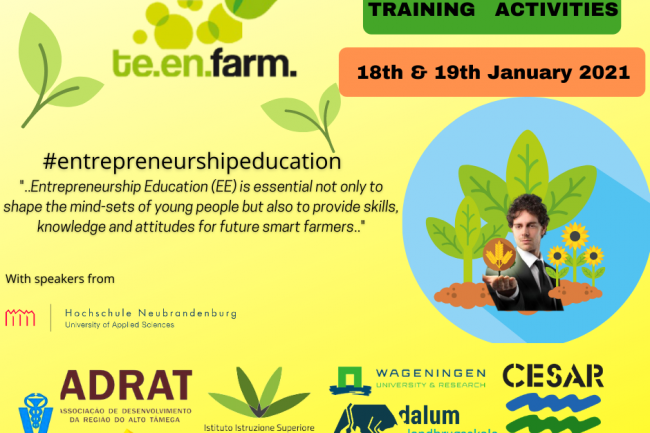 Infographic Training activity_january