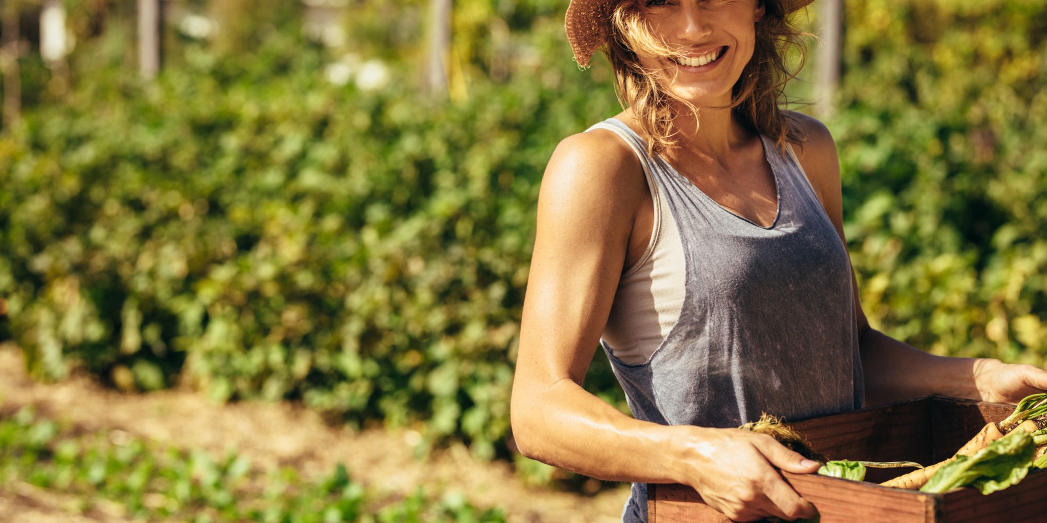 Friendly woman harvesting fresh vegetables from farm