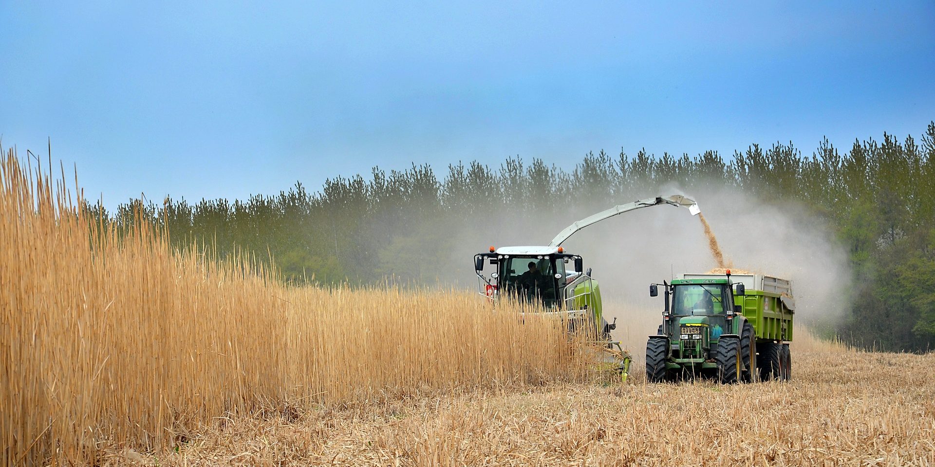 agricoltura sostemibile foto gratis pixabay.com