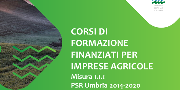 corsi psr web