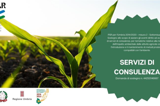 banner per sito cesar