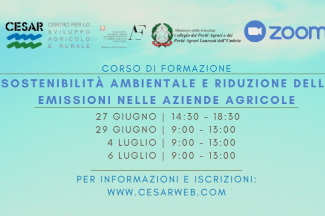 Sostenibilità (Post di Facebook)3 copia