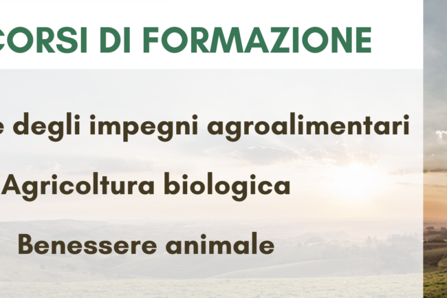 Immagine-Corsi PSR def