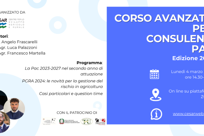 CORSO PAC_BLOG BANNER PER SITO