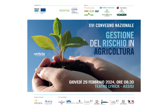 Copia di CORSO PAC_BLOG BANNER (1)