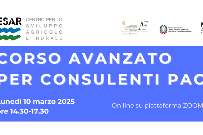 corso PAC_BANNER PER SITO