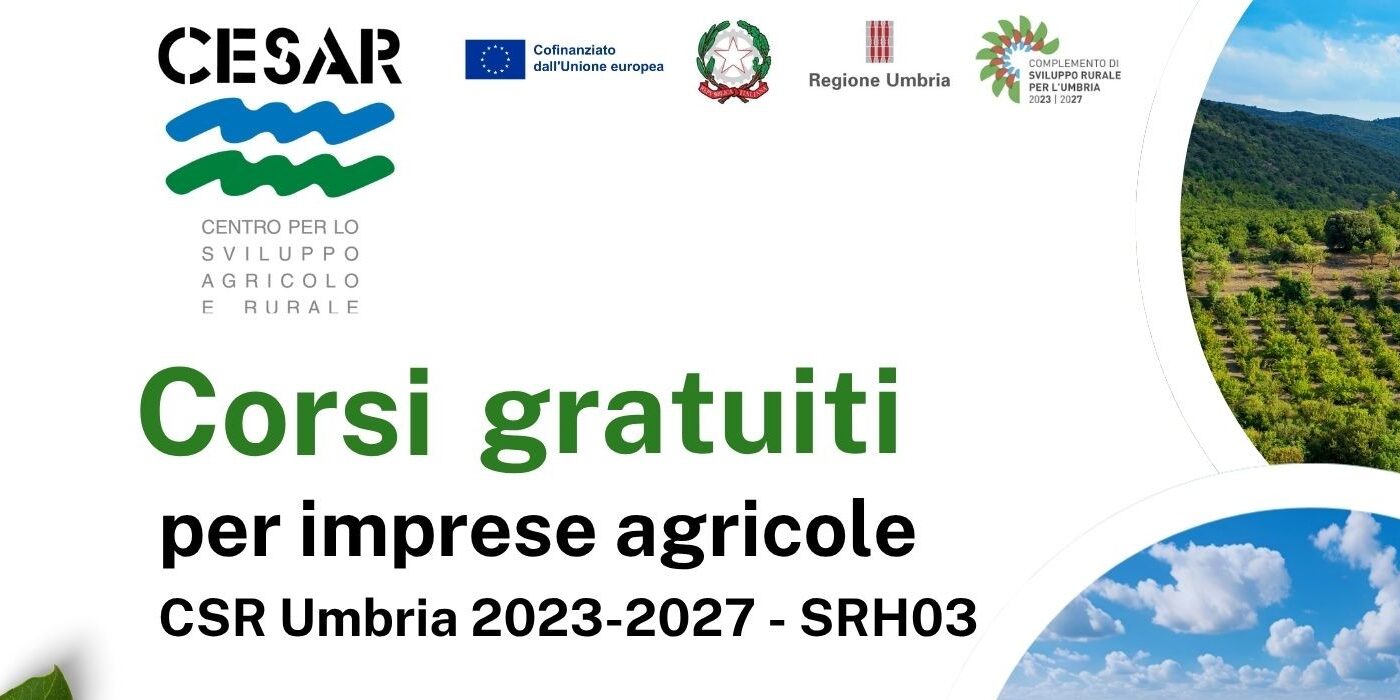 catalogo corsi CSR – 2