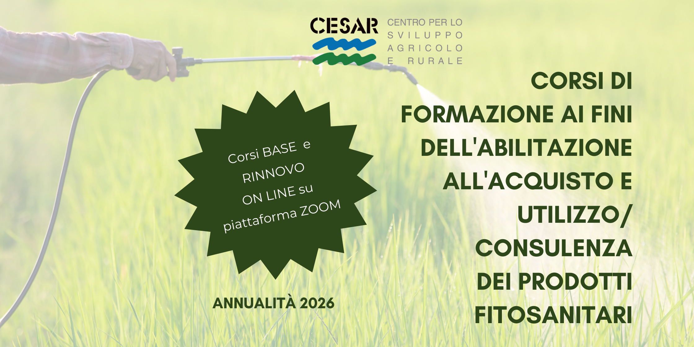 BANNER FITO 2024_SITO (2)