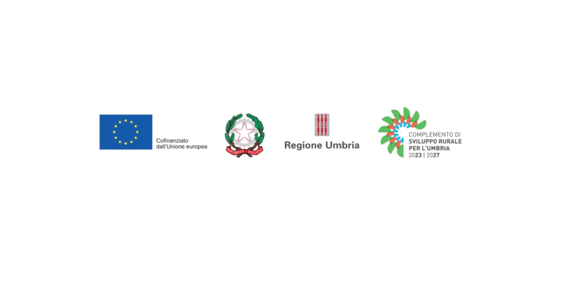 Progetto senza titolo (3)