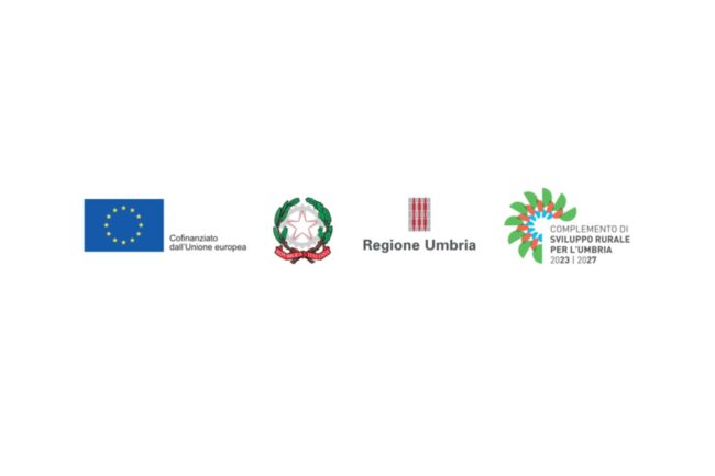 Progetto senza titolo (3)