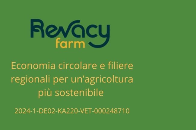 RE.VA.CY econ REV 2
